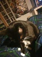 20221215_230527.jpg